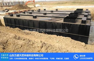 方盛天然環(huán)保科技 專業(yè)MBR污水處理設(shè)備與污泥處理裝備制造廠家